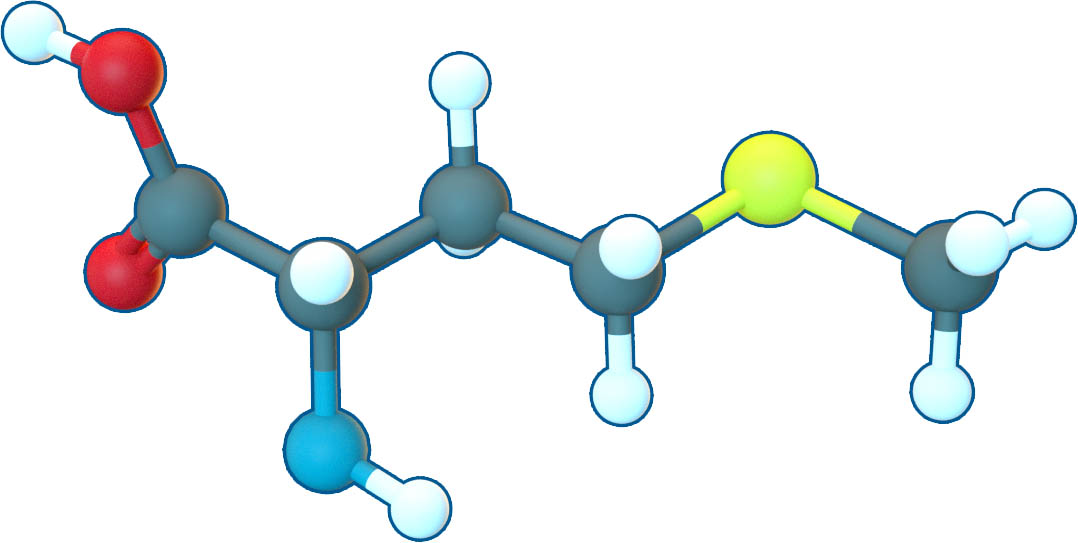 Image of L-Methionine | C5H11NO2S | Supreme Pharmatech